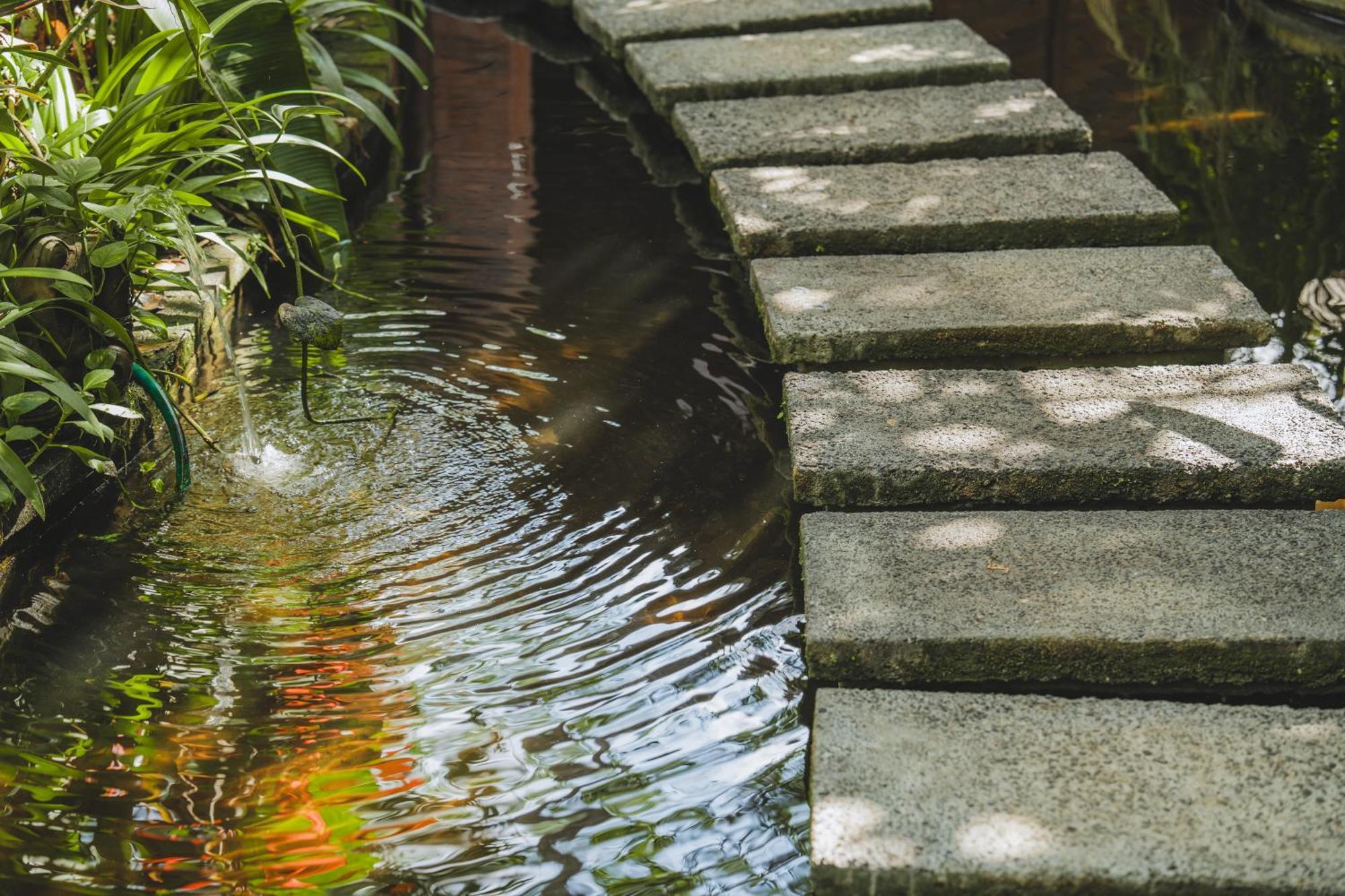 The Hidden Paradise Ubud - Chse Certified Exterior photo